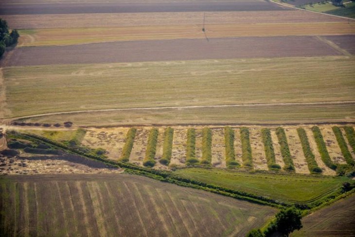 Badania archeologiczne – Domasław pod Wrocławiem. Fot. arch. GDDKIA